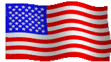 The Flag of the United States of America